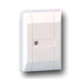 V-PLEX&reg; Two-Zone Serialized Interface Module